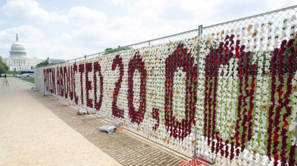 Stuffed toys in US capital symbolize displaced Ukrainian children