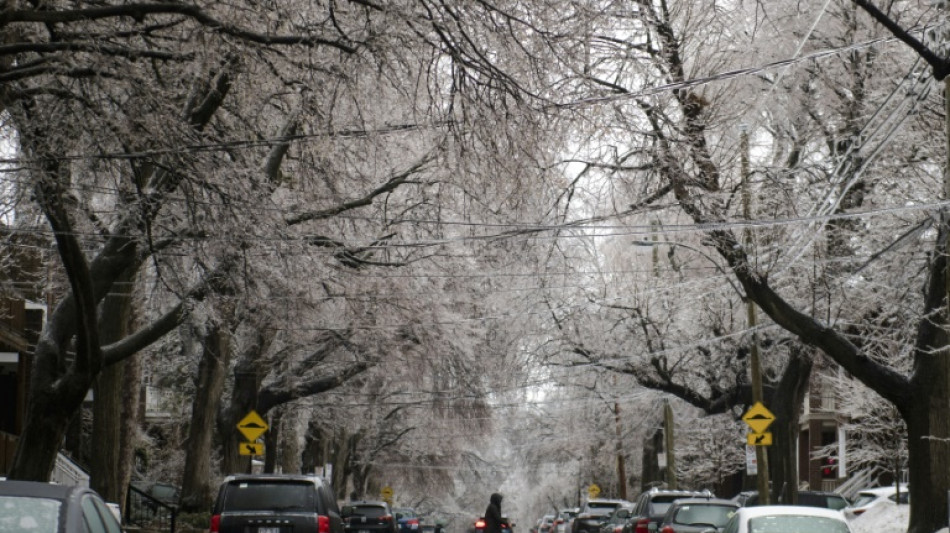 Temp&ecirc;te de glace dans l'est du Canada: deux morts, importants d&eacute;g&acirc;ts mat&eacute;riels