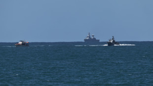 Flotilla, 'Greta Thunberg sar&agrave; liberata oggi'