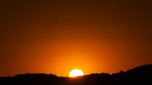 Dernier coup de chaud avant le r&eacute;pit attendu ce week-end, feu d'ampleur dans les Landes