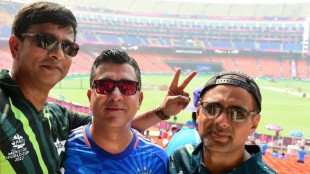 Two's a crowd: From Houston to Ahmedabad for Pakistan fans 