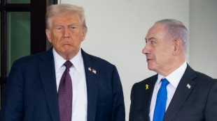 Netanyahu to meet Trump in Florida for crucial Gaza talks