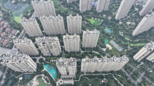 China's third-quarter economic growth slows to 4.9%: official data&nbsp; 

