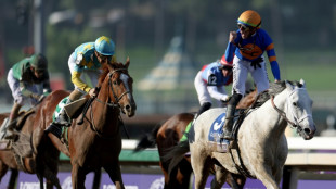 White Abarrio wins Breeders' Cup Classic