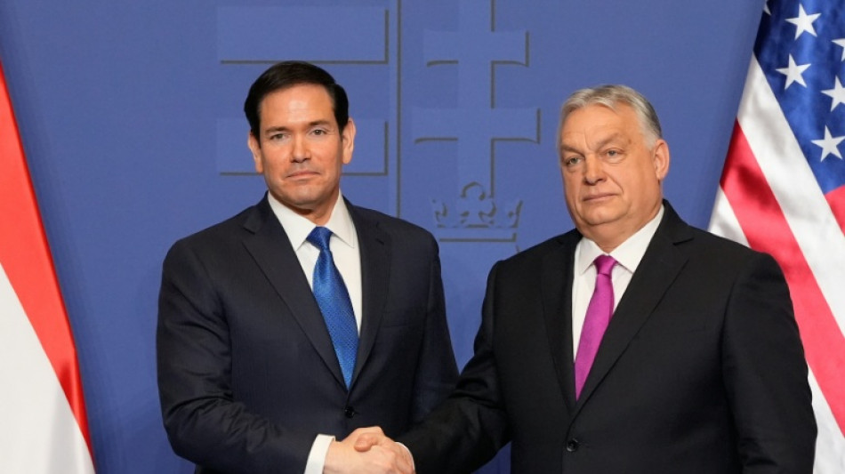 'Your success is our success,' Rubio tells Orban ahead of Hungary polls