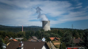 Deutschland erwartet Ausgleichszahlungen von Schweiz f&uuml;r Atomm&uuml;ll-Lager
