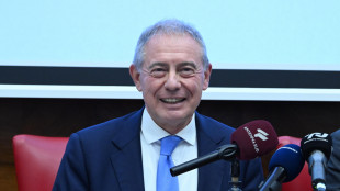Urso, salvata l'industria dell'auto, Ursula ci dà ragione