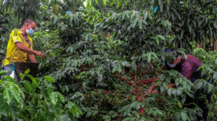 Moins de droits de douane sur le café et les bananes ? Washington semble y songer