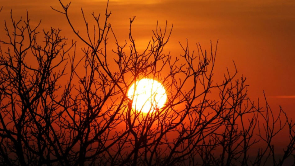 La probabilidad de superar el umbral de +1,5 &ordm;C en cinco a&ntilde;os roza el 50%