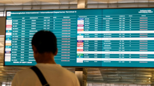 El tr&aacute;fico a&eacute;reo se reanuda gradualmente en Indonesia tras la erupci&oacute;n volc&aacute;nica