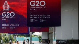 Le conflit en Ukraine chamboule l'agenda du G20 &agrave; Washington