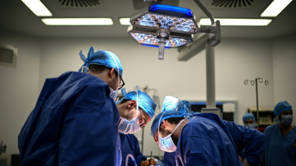 Zahl der Organspenden in Deutschland bis Ende September 2026 leicht gestiegen