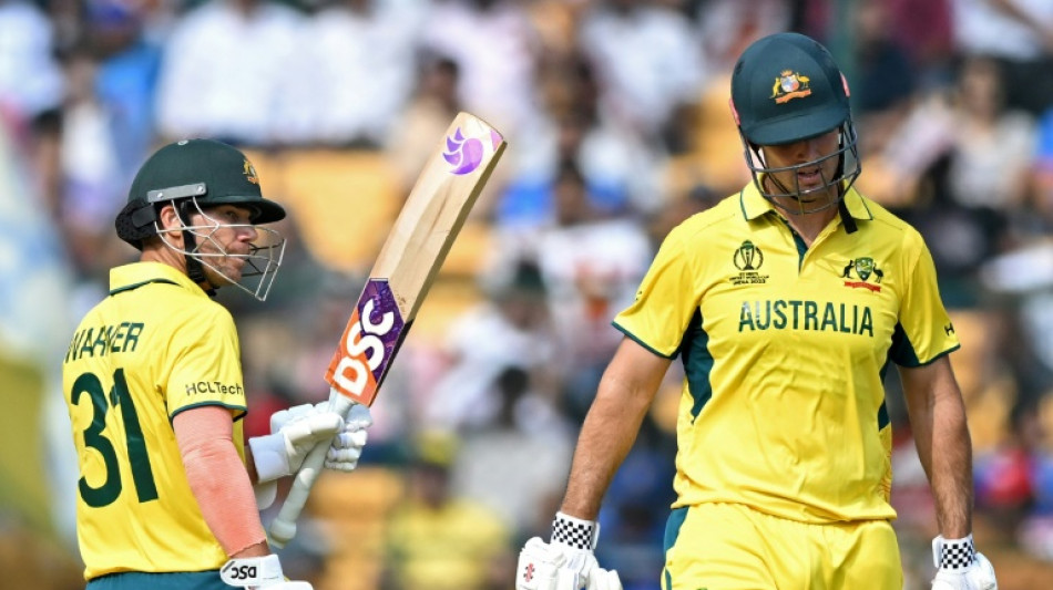 Australia openers Warner, Marsh pummel Pakistan at World Cup