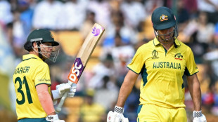 Australia openers Warner, Marsh pummel Pakistan at World Cup