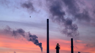 Zahl der Besch&auml;ftigten in der Industrie 2023 leicht gestiegen