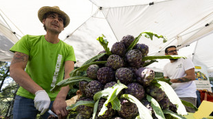 Borsa della spesa, contenuti i prezzi della verdura, in calo quelli del pesce
