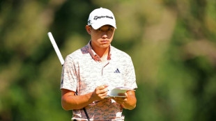US Ryder Cup squad starts taking shape at BMW Championship