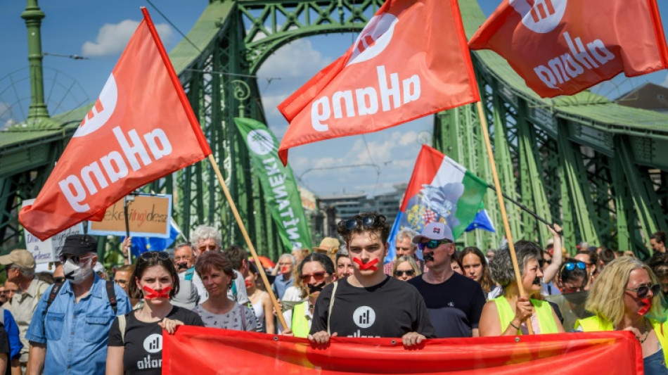 Ungarn verschiebt Abstimmung &uuml;ber umstrittenes Gesetz zu sch&auml;rferen NGO-Regeln