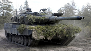 Finlandia y Suecia en la OTAN, una adhesi&oacute;n con objetivos compartidos