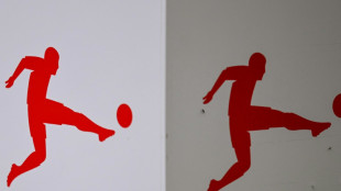 Bild: DFL erh&auml;lt 100 Millionen Euro als Darlehen von adidas