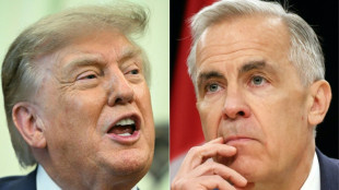 Le Canada riposte en imposant des surtaxes de 15 &agrave; 50% aux Etats-Unis