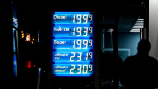 SPD-Politiker Wiese: Konzerne d&uuml;rfen sich nicht an Krisen bereichern