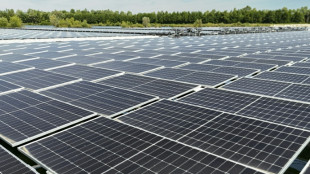 L'&eacute;lectricit&eacute; &eacute;olienne et solaire prend le pas sur les fossiles dans l'UE
