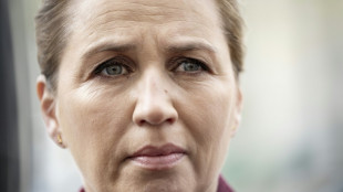 La agresi&oacute;n contra la primera ministra danesa probablemente careci&oacute; de "motivaciones pol&iacute;ticas"