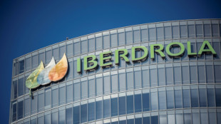 Iberdrola aument&oacute; su beneficio un 10% en los nueve primeros meses