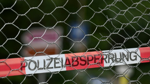 79-J&auml;hriger bei M&uuml;nchen von S-Bahn erfasst und get&ouml;tet