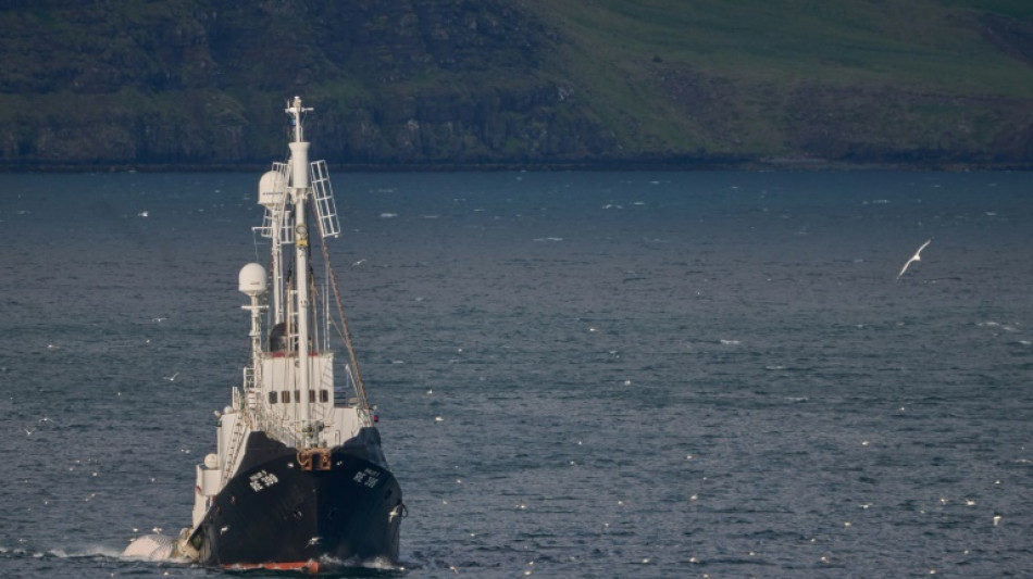 El &uacute;ltimo ballenero activo de Islandia captura su primer rorcual en casi cuatro a&ntilde;os