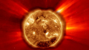 La vita interiore del Sole svelata grazie a 40 anni di dati