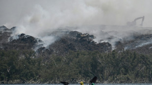 "Comme si j'&eacute;tais toujours &agrave; bout de souffle": Aux Philippines, un feu de d&eacute;charge &eacute;puise les habitants