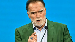 Schwarzenegger surprises Vienna metro users with climate message