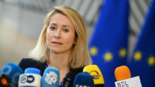 La UE evaluar&aacute; extender su misi&oacute;n naval en el mar Rojo al estrecho de Ormuz