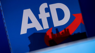 Urteil: Hessische AfD-Kreistagsfraktion darf Dorfgemeinschaftshaus nutzen