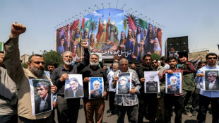 Nahost: CDU-Au&szlig;enpolitiker Hardt warnt vor "unkalkulierbaren Risiken" f&uuml;r Region