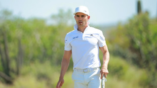Villegas leads by two at PGA Tour Mexico event