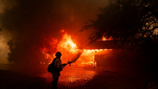 Plus d'une centaine de maisons d&eacute;truites par un vaste incendie pr&egrave;s de Los Angeles