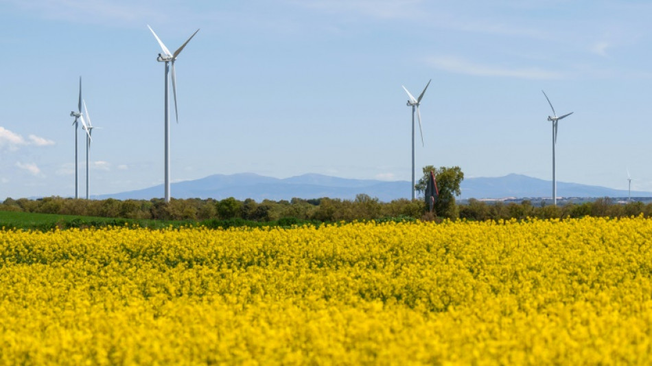 Renewable energy in the dock in Spain after blackout