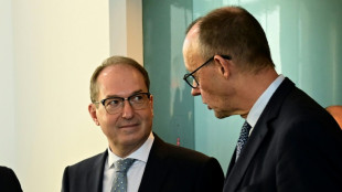 Stromnetz-Anschlag: Bund setzt eine Million Euro Belohnung auf Vulkangruppe aus