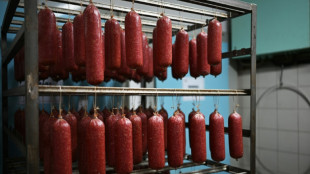 Neuer Landwirtschaftsminister - neue Debatte &uuml;ber Steuern auf Fleisch 