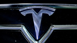 Verband: Tesla-Verkäufe in Europa im April um die Hälfte eingebrochen