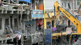 La reconstrucci&oacute;n por el desastre en el Himalaya costar&iacute;a unos 4.780 millones de d&oacute;lares, seg&uacute;n Nepal