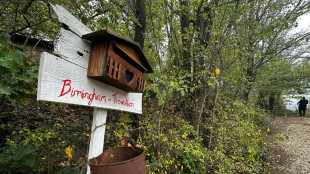 Famiglia nel bosco, Corte d'Appello L'Aquila rigetta ricorso