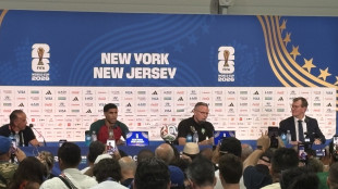 Mondiali: ct Marocco "c'&egrave; rispetto per noi, col Brasile sar&agrave; una bella gara"