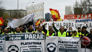 Madrid d&eacute;bloque un milliard d'euros sans mettre fin &agrave; la gr&egrave;ve des routiers