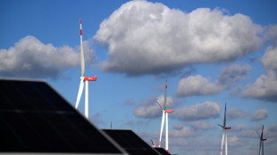 Expertenrat sieht Emissionsbudget für 2030 in Reichweite - danach wird es schwierig