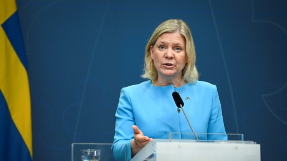 Suecia asegura a Turqu&iacute;a que no entrega ni dinero ni armas a "organizaciones terroristas"