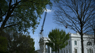 Comit&ecirc; de urbanismo aprova sal&atilde;o de baile de Trump bloqueado pela Justi&ccedil;a